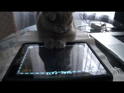 кот и iPad