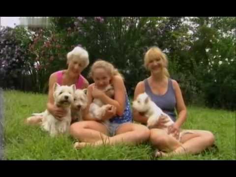 Введение в собаковедение 101 Dogs Часть 5 Animal Planet